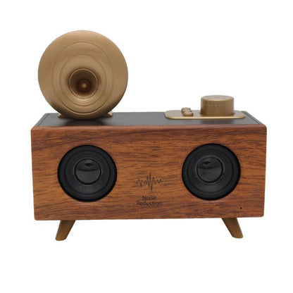 Portable Bluetooth Desktop Speaker with USB, FM Radio & TF Card