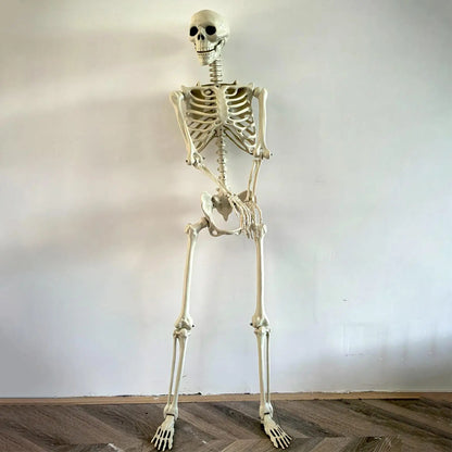Life-Size Posable Human Skeleton Halloween Decor