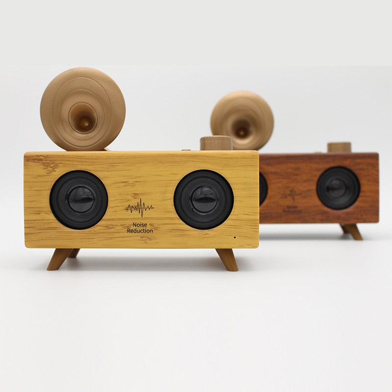 Portable Bluetooth Desktop Speaker with USB, FM Radio & TF Card
