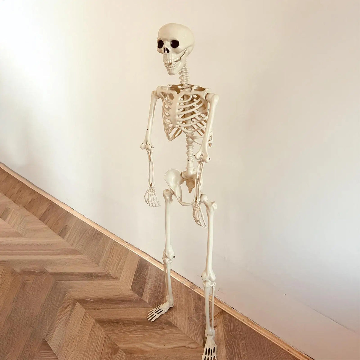 Life-Size Posable Human Skeleton Halloween Decor