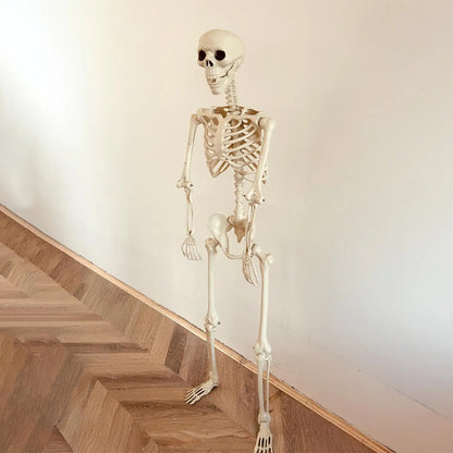 Life-Size Posable Human Skeleton Halloween Decor