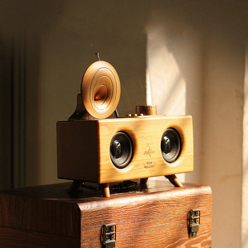 Portable Bluetooth Desktop Speaker with USB, FM Radio & TF Card