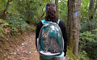 Expandable Pet Carrier Backpack with Clear Window for Cats & Dogs