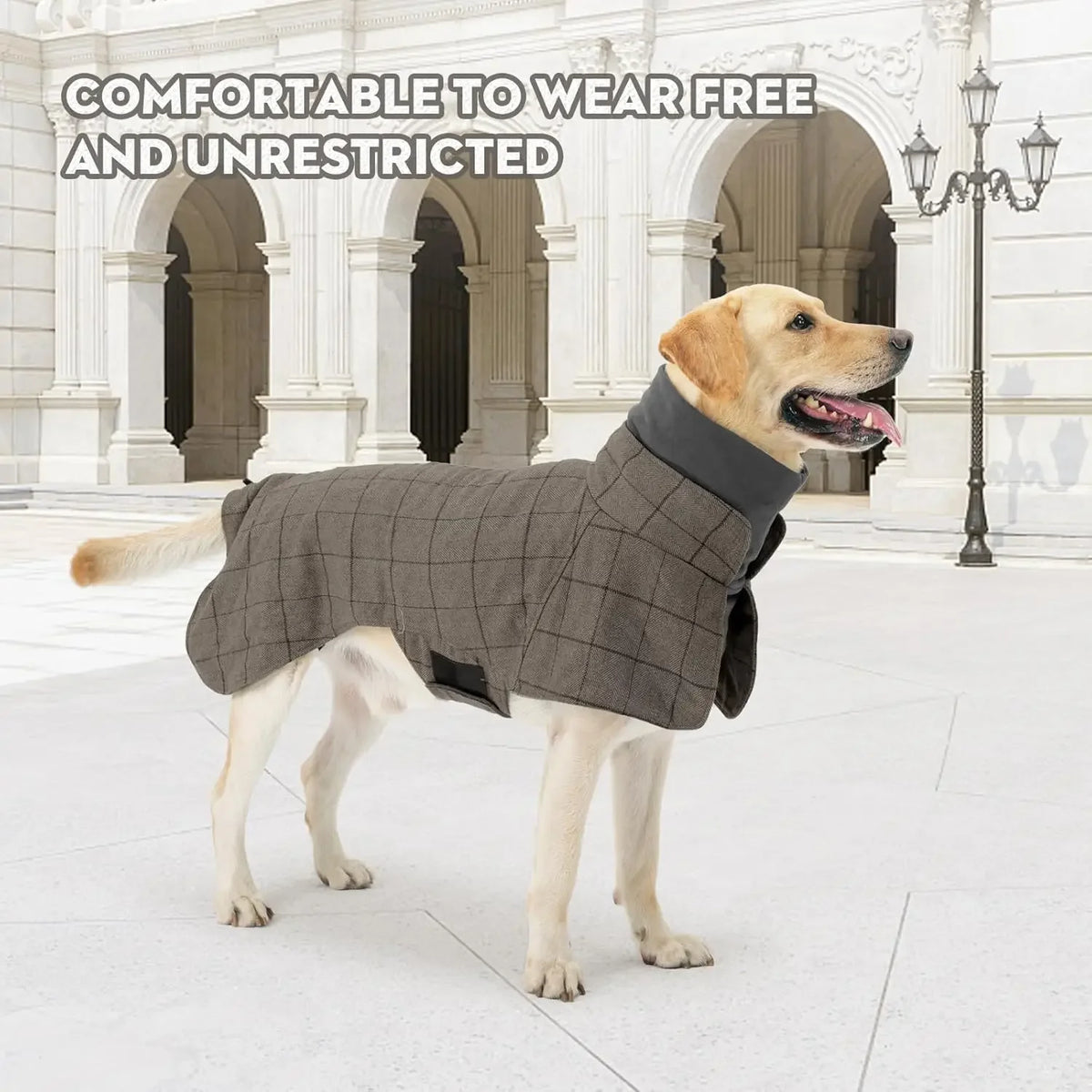 Plaid Fleece Dog Winter Coat - back view